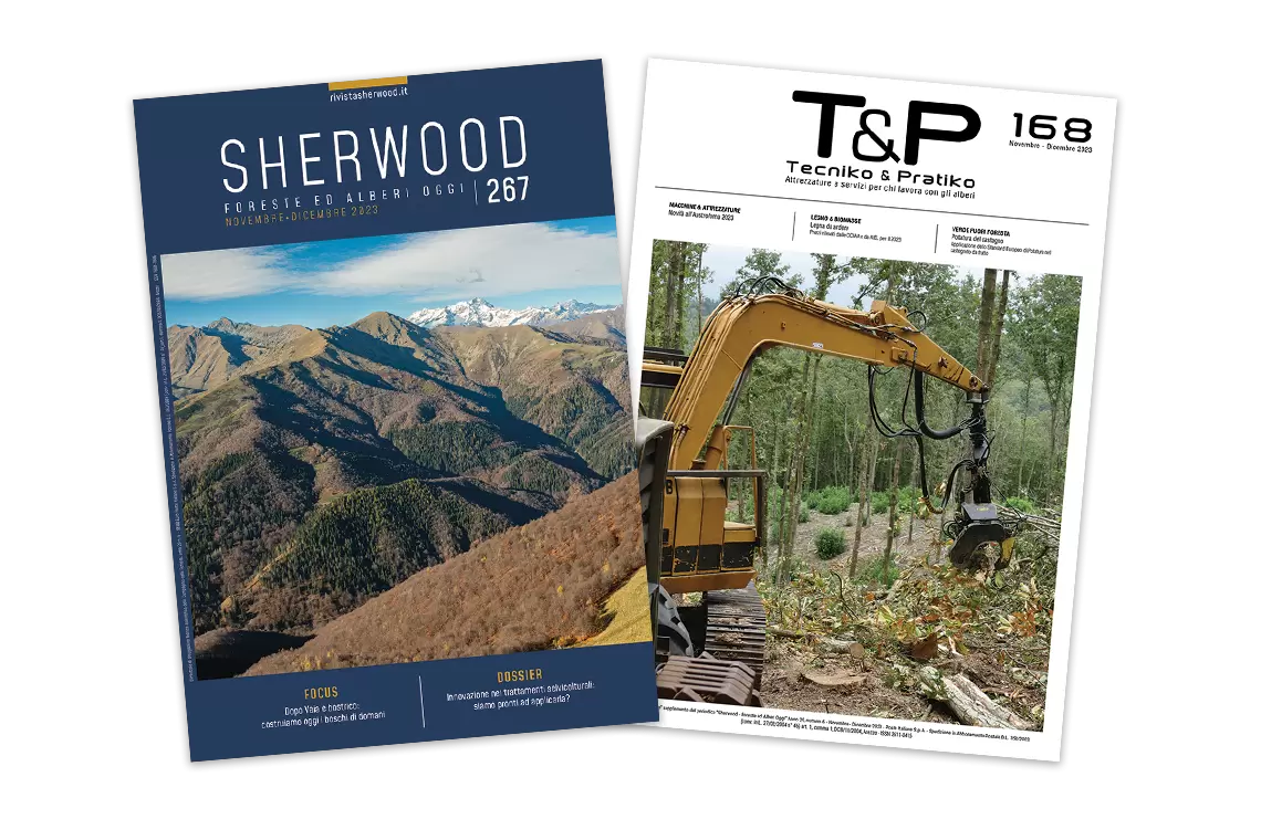 Sherwood 267: Innovazione in selvicoltura e progettazione dei boschi di domani