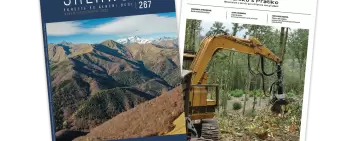 Sherwood 267: Innovazione in selvicoltura e progettazione dei boschi di domani