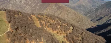 Innovazione nei trattamenti selvicolturali: siamo pronti ad applicarla?