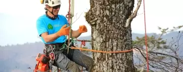 European Tree Worker - Cosa è e come si sostiene l’esame