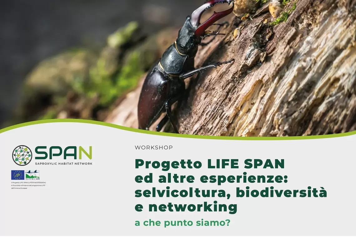 Progetto LIFE SPAN ed altre esperienze: selvicoltura, biodiversità e networking