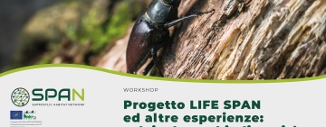 Progetto LIFE SPAN ed altre esperienze: selvicoltura, biodiversità e networking