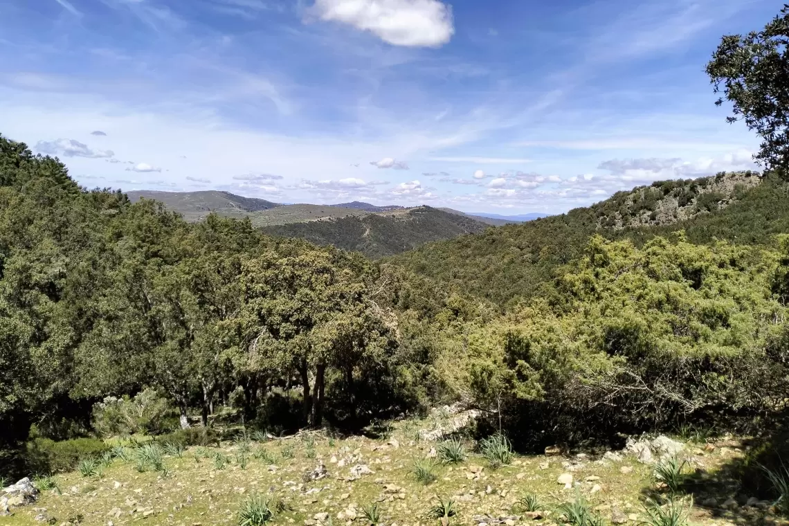 Workshop GoProForMED: conservazione e gestione degli habitat mediterranei 