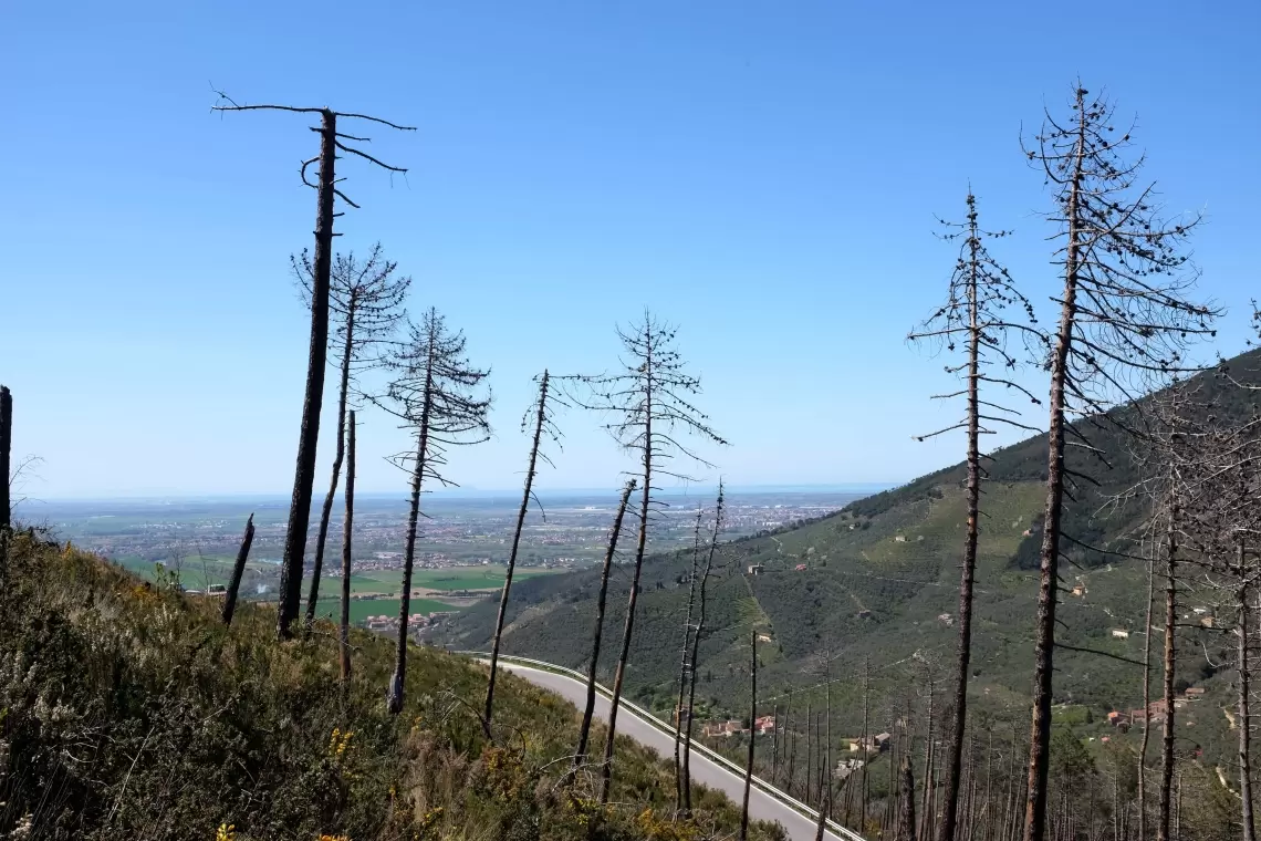 Workshop sulla prevenzione degli incendi all'Università di Palermo