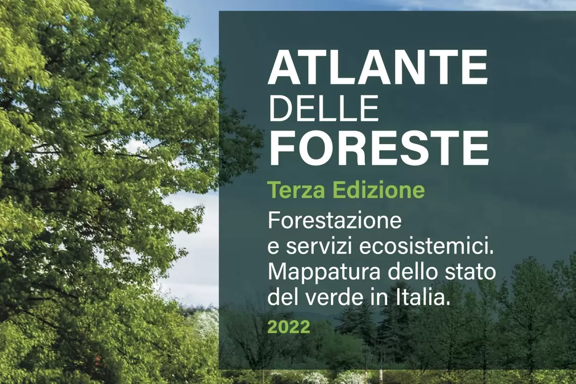 Atlante delle Foreste 2023
