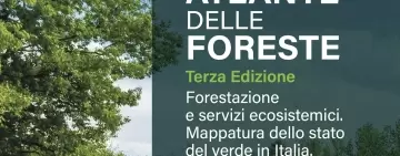 Atlante delle Foreste 2023