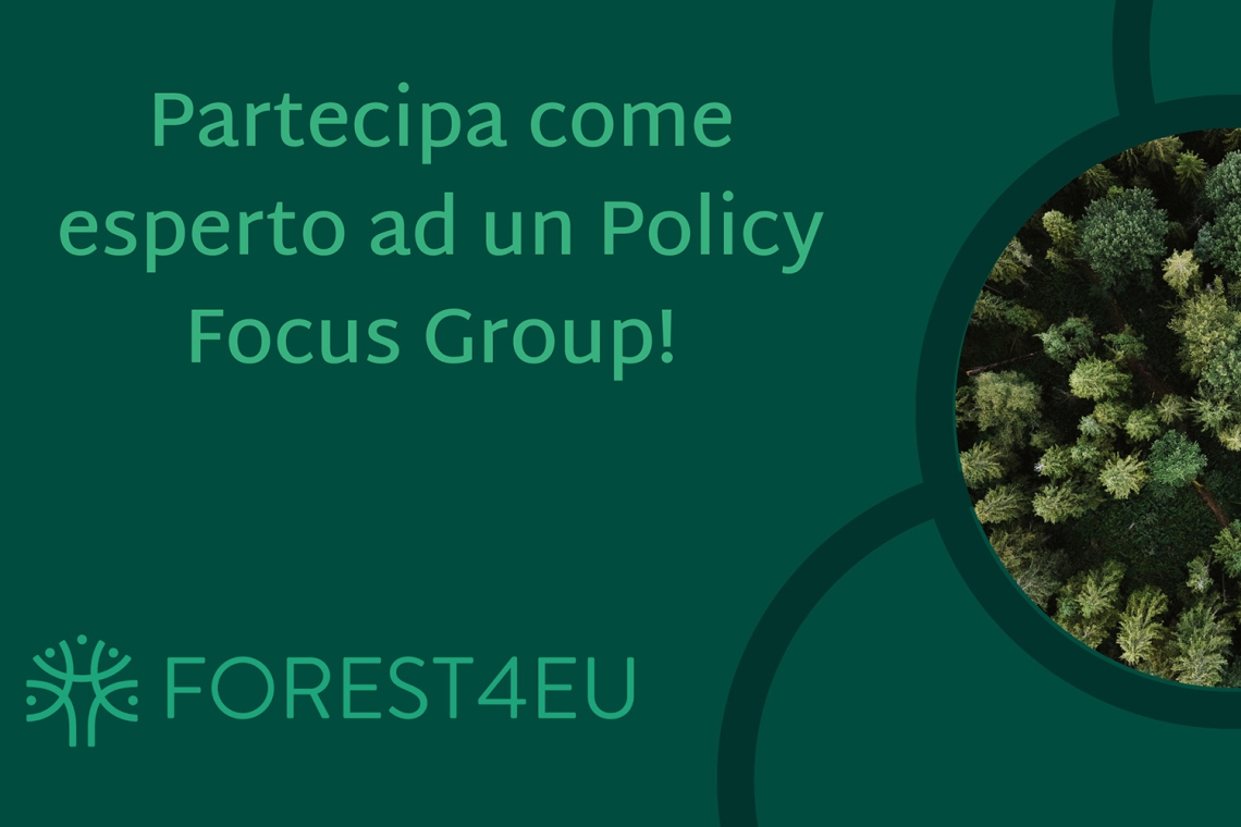 FOREST4EU, partecipa come esperto ai Policy Focus Group!