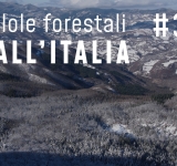Pillole forestali dall’Italia #30 - Politiche forestali in cammino e altre notizie di dicembre