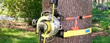 L'abbattimento controllato con l'ATD - Arboteam Device