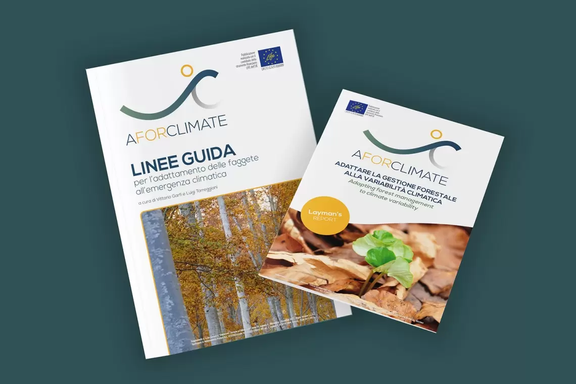 Online il Layman’s Report e le Linee Guida del progetto AForClimate