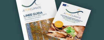 Online il Layman’s Report e le Linee Guida del progetto AForClimate