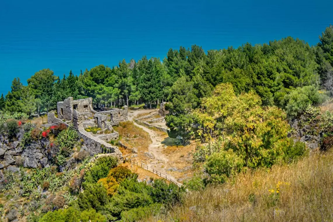 Indagine sull'agricoltura e la selvicoltura del Mediterraneo