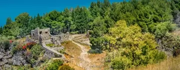 Indagine sull'agricoltura e la selvicoltura del Mediterraneo