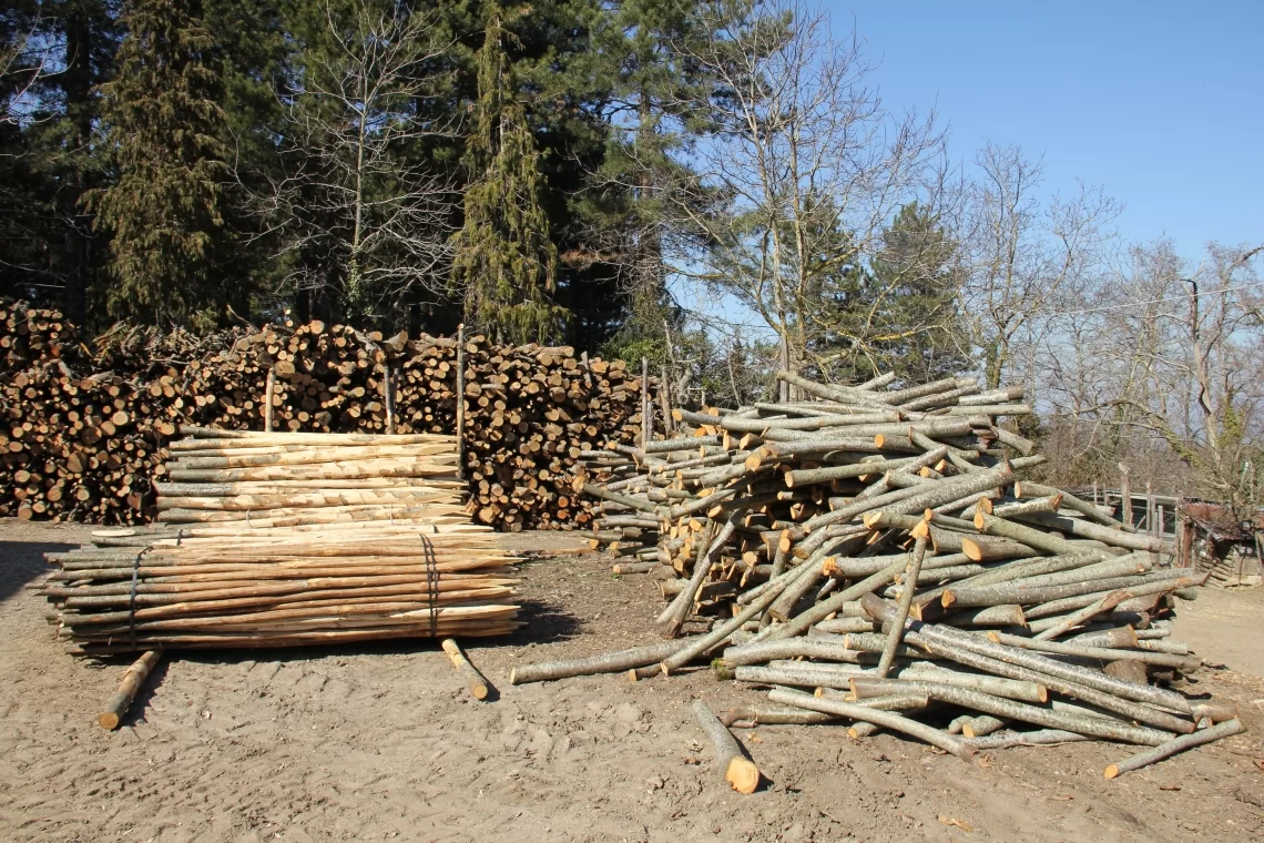 Contratti di filiera forestale PNRR: più fondi a disposizione, più progetti finanziabili!