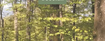 Il trattamento a fustaia irregolare