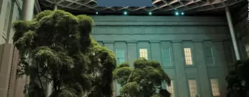 Il futuro “forestale” delle città