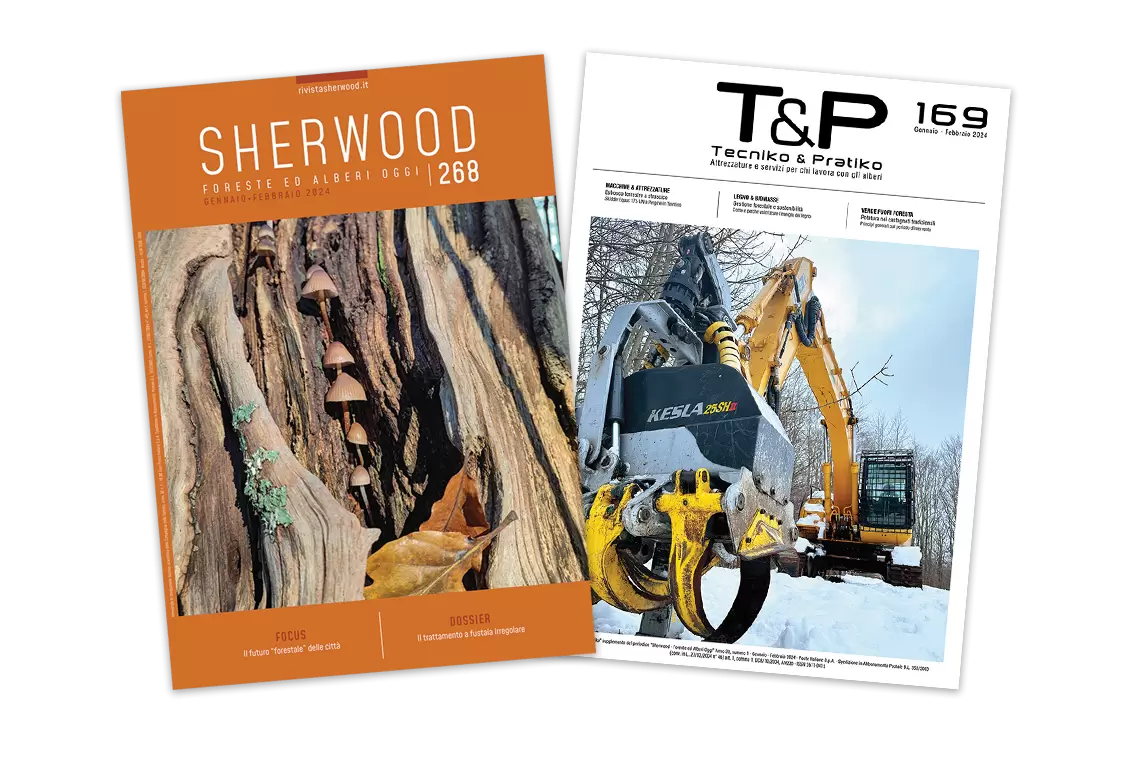 Sherwood 268: Il ruolo degli alberi nelle città del futuro e il trattamento a fustaia irregolare