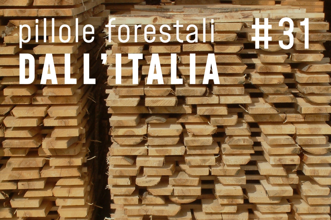 Pillole forestali dall’Italia #31 - C'è bisogno di selvicoltura e altre notizie di gennaio