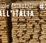 Pillole forestali dall’Italia #31 - C'è bisogno di selvicoltura e altre notizie di gennaio