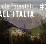 Pillole forestali dall’Italia #32 - Politica, legno, comunicazione e altre notizie di febbraio