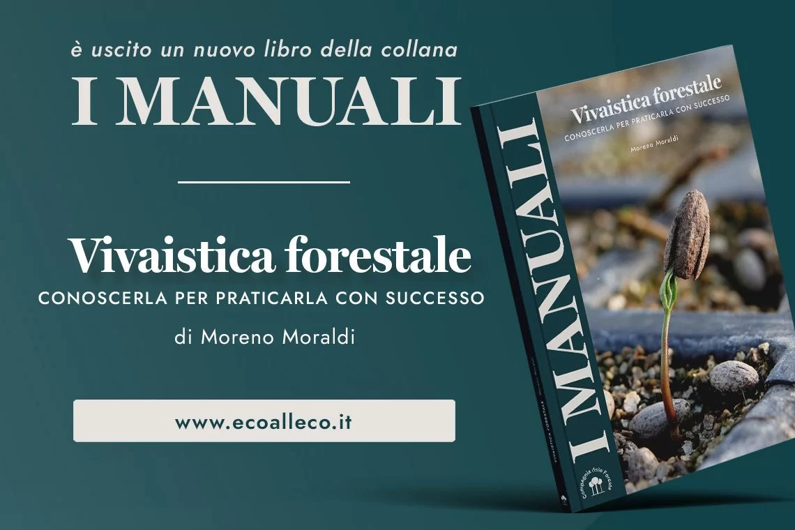Vivaistica Forestale: dalla teoria alla pratica