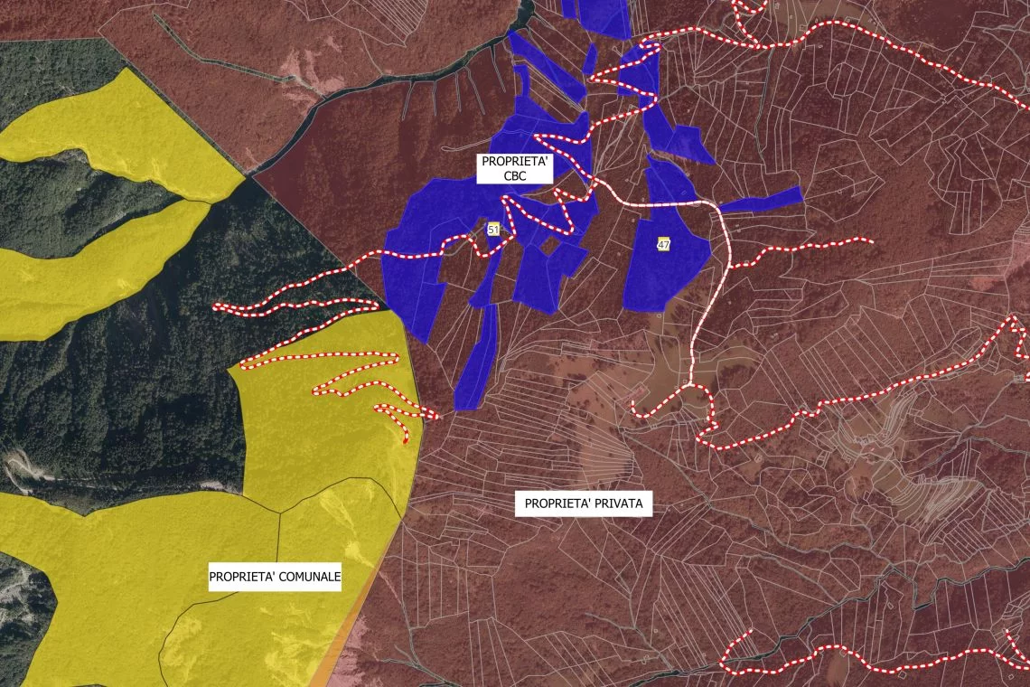 Gestione forestale collaborativa: dalla Carnia una proposta per superare abbandono e frammentazione