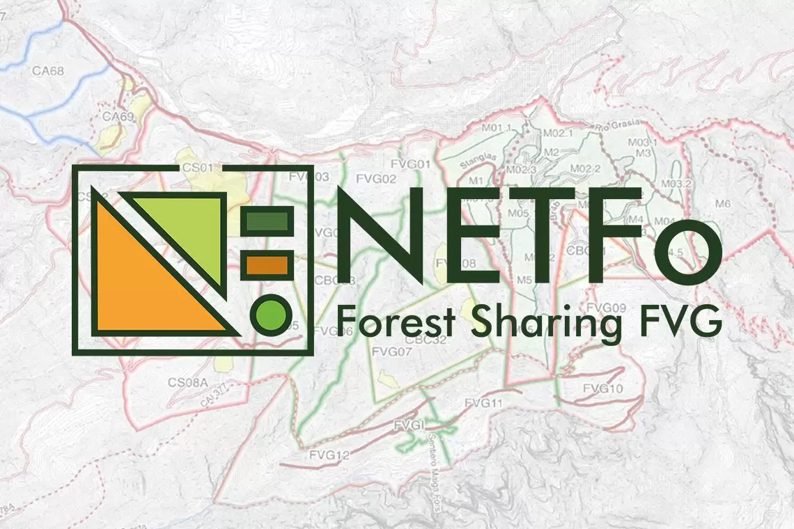 ForestSharing FVG: una piattaforma per promuovere la "gestione forestale collaborativa"