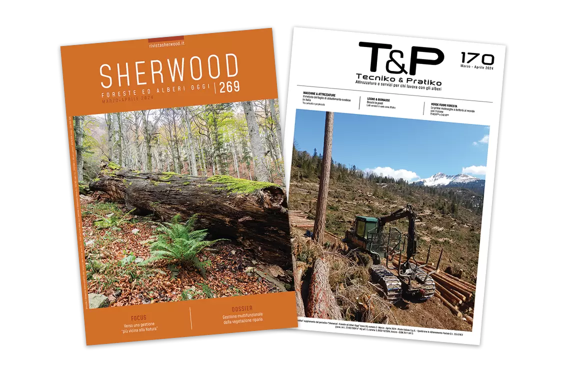 Sherwood 269: La gestione multifunzionale della vegetazione riparia e la selvicoltura “più vicina alla Natura”