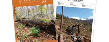 Sherwood 269: La gestione multifunzionale della vegetazione riparia e la selvicoltura “più vicina alla Natura”
