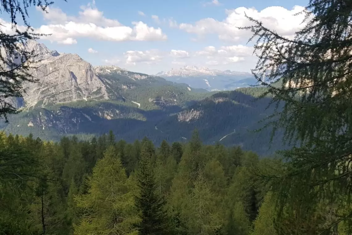 Dai banchi alla realtà: come il caso dei larici abbattuti per la pista da bob di Cortina conferma una certa distanza
