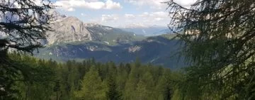Dai banchi alla realtà: come il caso dei larici abbattuti per la pista da bob di Cortina conferma una certa distanza