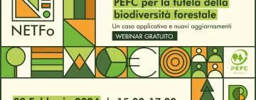 Standard di certificazione PEFC per la tutela della biodiversità forestale: la registrazione del webinar NETFo