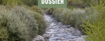 Gestione multifunzionale della vegetazione riparia