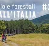 Pillole forestali dall’Italia #33 - Metafore, modelli, esempi e altre notizie di febbraio