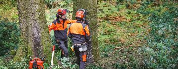 Incontro di formazione per operatori forestali
