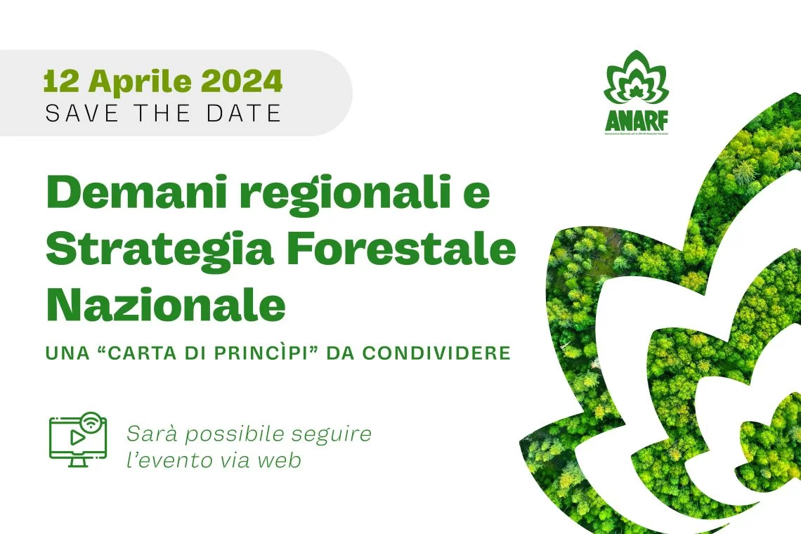 Demani regionali e Strategia Forestale Nazionale, una "Carta di princìpi" da condividere