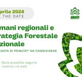 Demani regionali e Strategia Forestale Nazionale, una 