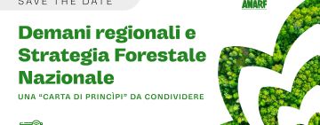 Demani regionali e Strategia Forestale Nazionale, una 