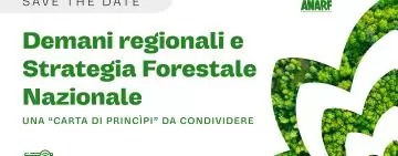Demani regionali e Strategia Forestale Nazionale, una 