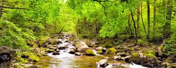 LIFE ProForPES: un progetto per sviluppare i pagamenti per i servizi ecosistemici