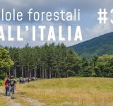 Pillole forestali dall’Italia #33 - Metafore, modelli, esempi e altre notizie di febbraio