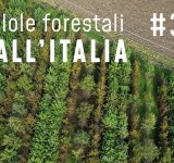 Pillole forestali dall’Italia #36 - Alberi tra i numeri e la realtà e altre notizie di aprile