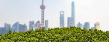 Sfalci e potature del verde urbano come sottoprodotti: serve chiarezza