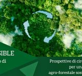 Progetto FEASIBLE, Prospettive di circolarità per una filiera agro-forestale sostenibile