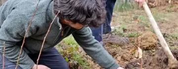 Il castagneto didattico innovativo e sperimentale di AUSF Firenze