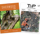 Sherwood 270: il ruolo del mercato del legno e dell’associazionismo nella gestione dei boschi italiani 