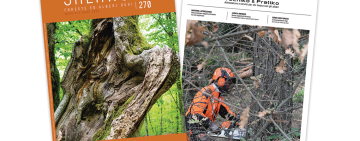 Sherwood 270: il ruolo del mercato del legno e dell’associazionismo nella gestione dei boschi italiani 