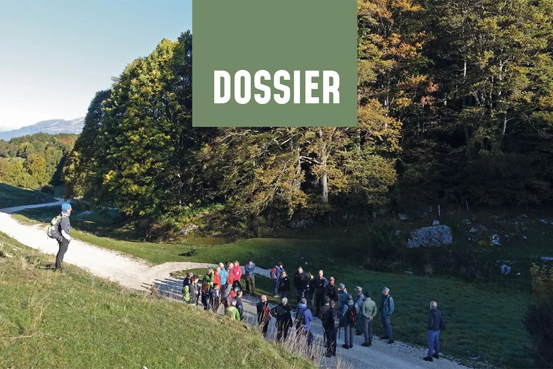 Sherwood #270 - Associazionismo forestale