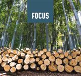 Legno: la chiave per una gestione forestale continua