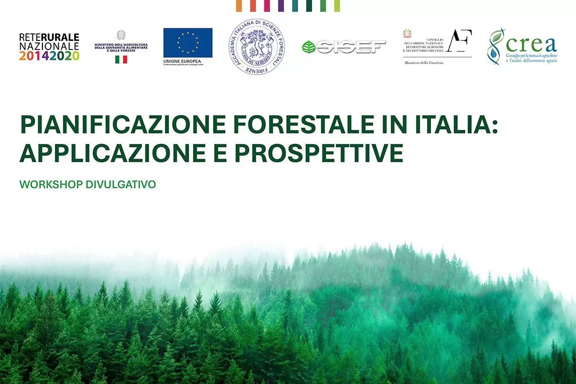 Pianificazione forestale in Italia